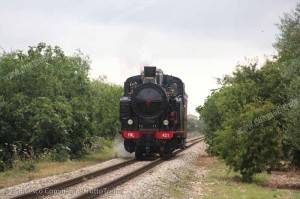 FAL_FCL421_Bcmr3412_corsa_prova_locomotiva_Modugno_Ba_2014_06_15_ComaianniFrancesco_IMG_1037-wwwduegieditriceit