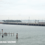 AVM-metrobus-PiazzaleRoma-Venezia-2015-09-16-AvonMichele-P9160265_tuttoTRENO_wwwduegieditriceit