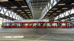 Bernmobil-_tramlink-side-Bern-view_1