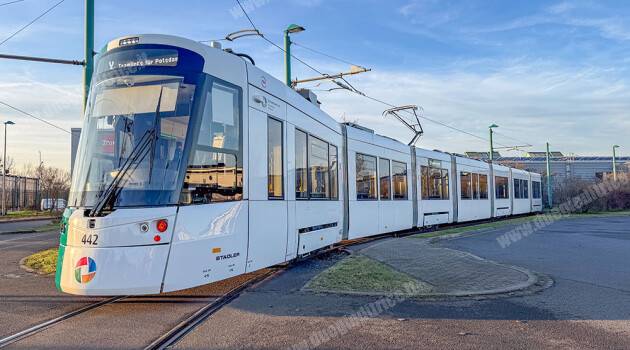 Tramlink Stadler in servizio a Potsdam