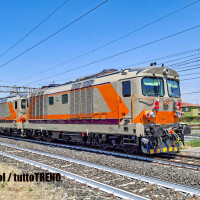 D 445 Navetta verso Siena